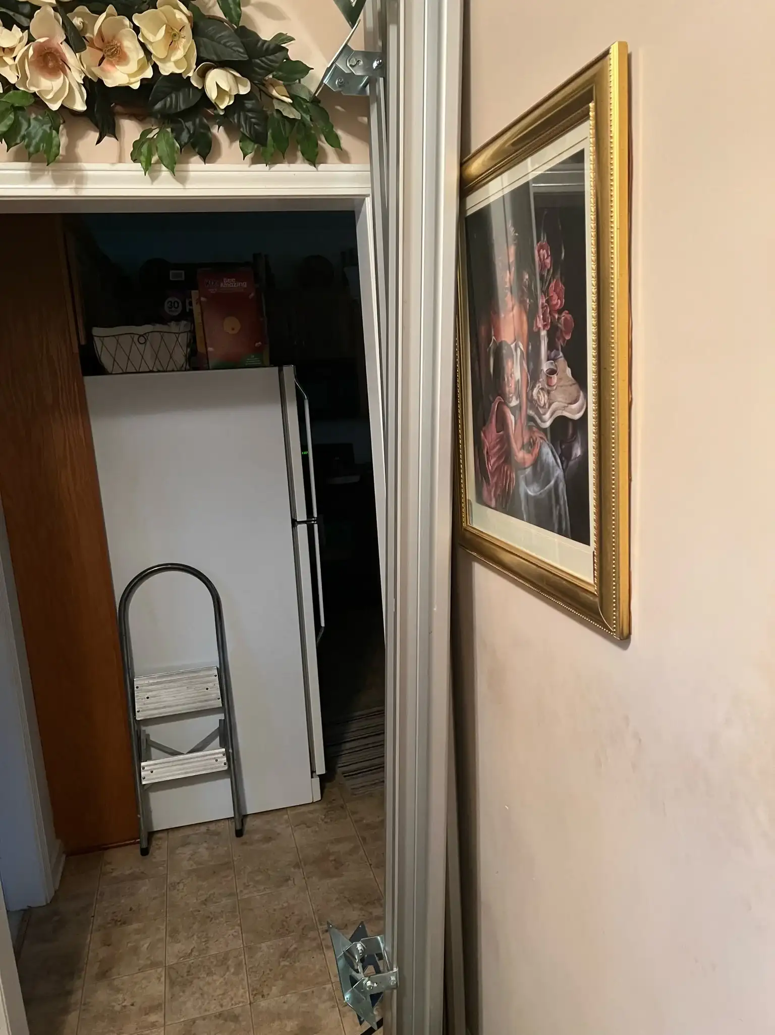 mobility transfer aids for senior